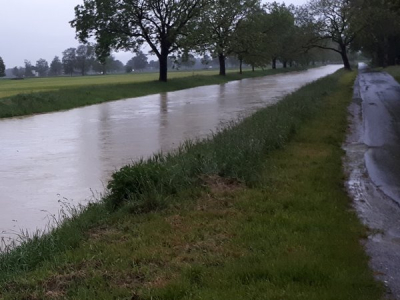 Rheintaler Binnenkanal, Altstätten SG (seit 2019)