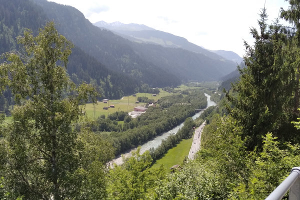 Der Hochwasser-Damm trennt die nun inaktiven Auenflächen (links) vom Vorderrhein (rechts).